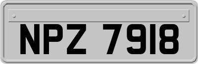 NPZ7918