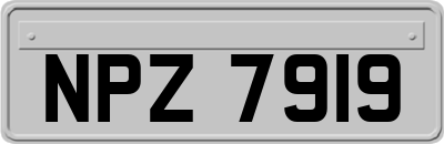 NPZ7919