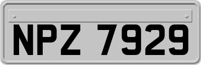 NPZ7929
