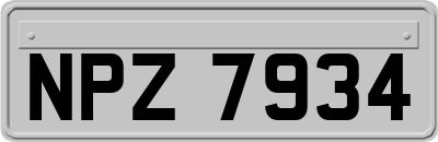 NPZ7934