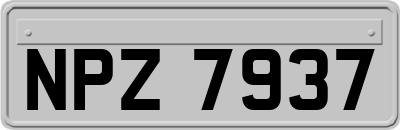 NPZ7937