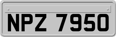 NPZ7950