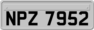 NPZ7952