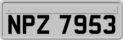NPZ7953