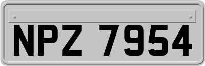 NPZ7954