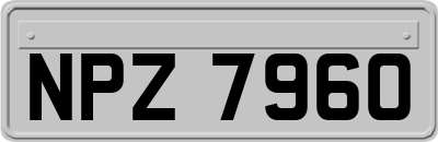 NPZ7960