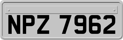 NPZ7962