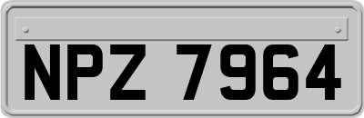 NPZ7964
