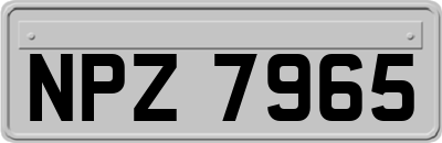 NPZ7965