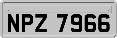 NPZ7966