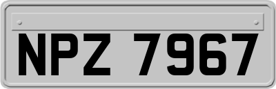 NPZ7967