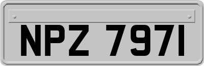 NPZ7971