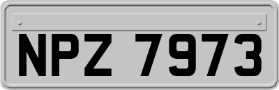 NPZ7973