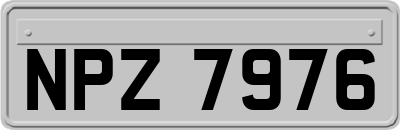NPZ7976