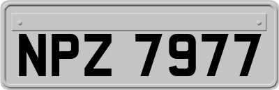 NPZ7977