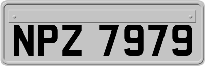 NPZ7979