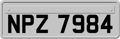 NPZ7984