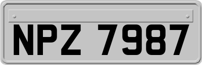 NPZ7987