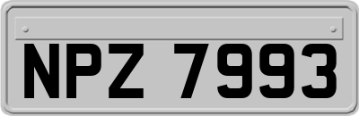 NPZ7993