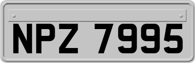 NPZ7995