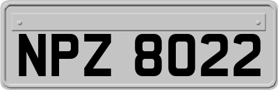 NPZ8022