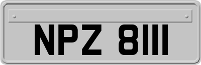 NPZ8111