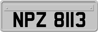 NPZ8113