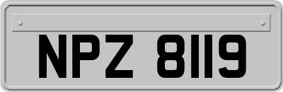 NPZ8119