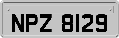 NPZ8129