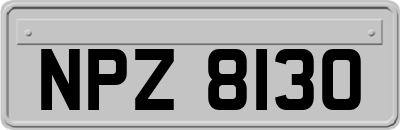 NPZ8130