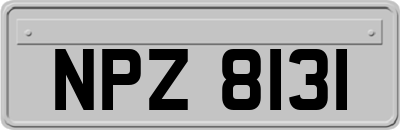 NPZ8131