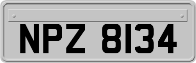 NPZ8134