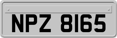 NPZ8165