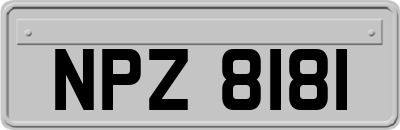 NPZ8181