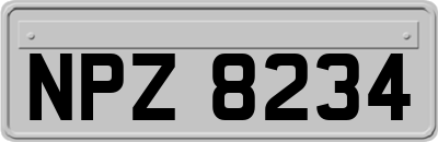 NPZ8234