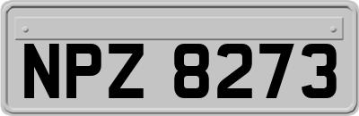 NPZ8273