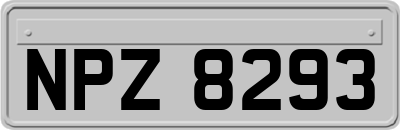 NPZ8293