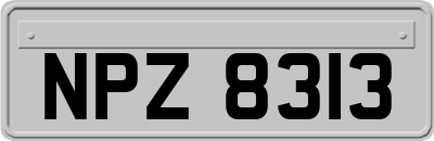 NPZ8313