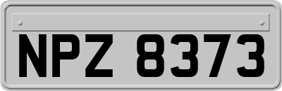 NPZ8373