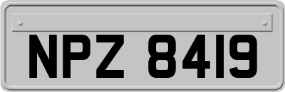 NPZ8419