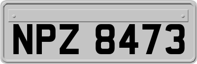 NPZ8473
