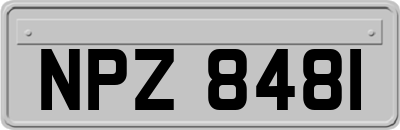 NPZ8481