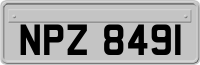 NPZ8491