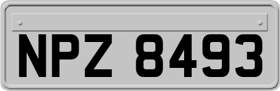 NPZ8493