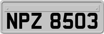 NPZ8503