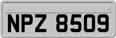 NPZ8509