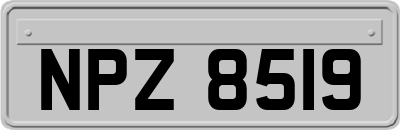 NPZ8519