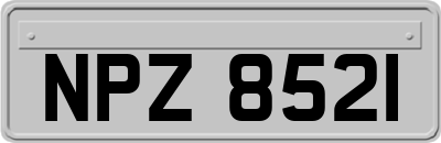 NPZ8521