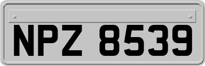 NPZ8539