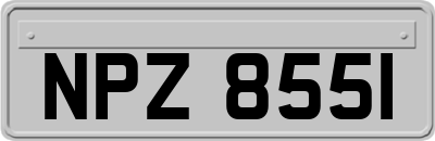NPZ8551